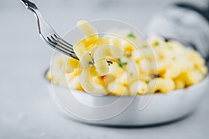 American mac and cheese, macaroni and cheese pasta in pan