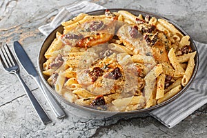 American Marry Me Chicken pasta with sun-dried tomatoes, cheese, herbs and aromatic creamy sauce close-up in a plate. Horizontal