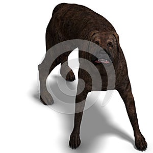 American Mastiff Dog. 3D rendering with clipping