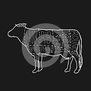 American Meat cuts diagram poster design. Beef scheme for butcher shop vector illustration. Cow animal silhouette vintage retro