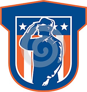 American Miilitary Serviceman Salute Side Crest