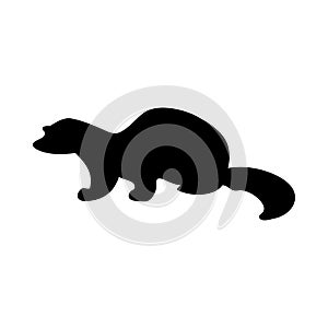 American Mink Silhouette