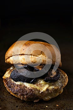 american mushroom cheese hamburger