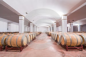 American oak barrels with red wine. Traditional wine cellar