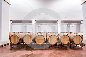 American oak barrels with red wine. Traditional wine cellar