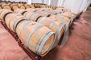 American oak barrels with red wine. Traditional wine cellar