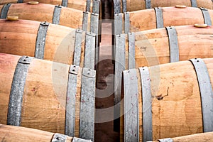 American oak barrels with red wine. Traditional wine cellar