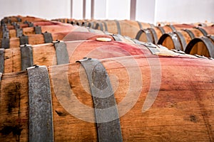 American oak barrels with red wine. Traditional wine cellar