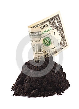 American One dollar grow from groundon