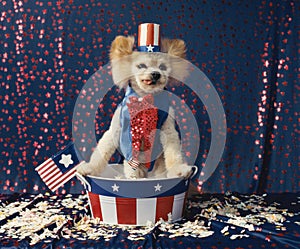 American patriotic Uncle Sam dog gives election speech standing