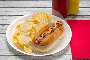 American picnic grilling outside, a hot dog potato chips