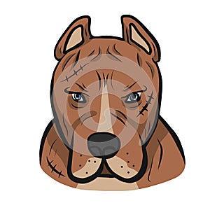 American pit-bull dog face cartoon vector