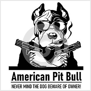 American Pit Bull dog with glasses, two pistols and cigar - American Pit Bull gangster. Head of angry American Pit Bull