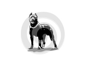 American Pit Bull Pitbull Bully Staffordshire Terrier Pit Bull Dog Pitbull Dog Black Logo Vector Cricut Cut Cutting