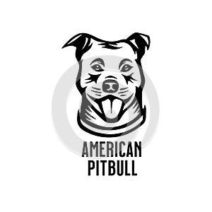 American pitbull head drawing. Vector illustration.