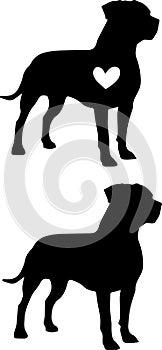 American pitbull heart, pitbull, american bulldog, dog paw, dog, animal, pet, vector illustration file