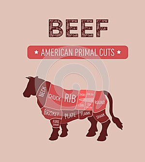 American primal beef meat cuts diagram