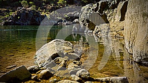 American river shore