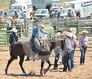 American Rodeo in Colorado