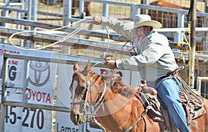 American Rodeo in Colorado