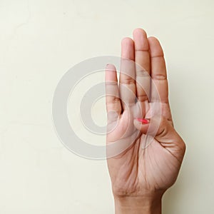 american sign language alphabet letter B displayed with isolated hand on light background