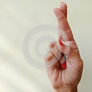 american sign language alphabet letter Q displayed with isolated hand on light background