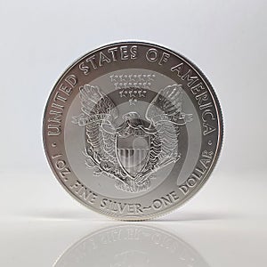 American Silver Eagle, Reverse, Standing with Reflection