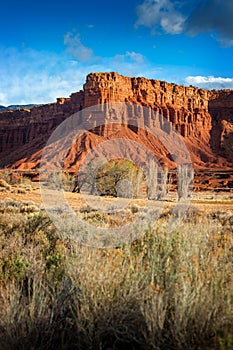 American Southwest Desert Landscape. photo