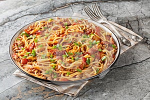 American spaghetti with bacon, minced meat, cheddar cheese and spicy tomato sauce close-up in a plate. Horizontal
