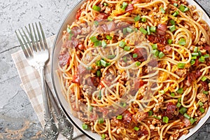 American spaghetti with bacon, minced meat, cheddar cheese and spicy tomato sauce close-up in a plate. Horizontal top view