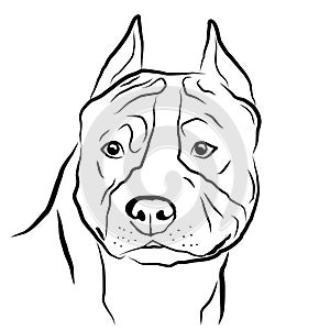 American Staffordshire Terrier, Amstaff. Isolated outlined sketch, logo contour vector illustration