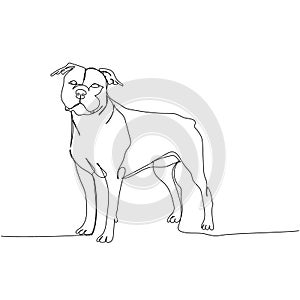 American Staffordshire Terrier, AmStaff, staffy, dog breed, companion dog one line art. Continuous line drawing of