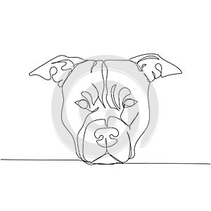 American Staffordshire Terrier, AmStaff, staffy, dog breed, companion dog one line art. Continuous line drawing of