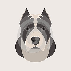 American staffordshire terrier head face vector style Flat