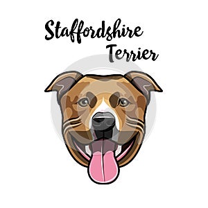 American Staffordshire Terrier portrait. Cute dog. Staffordshire Terrier head. Vector.