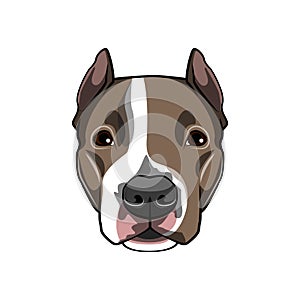 American staffordshire terrier portrait. Dog breed. Dog muzzle, head, face. Vector.