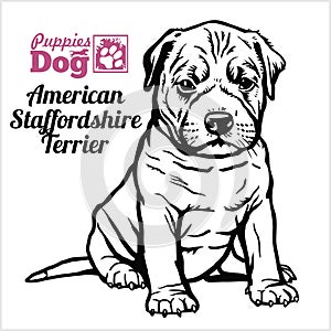 American Staffordshire Terrier puppy sitting. Drawing by hand, sketch. Engraving style, black and white vector image.