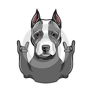 American Staffordshire Terrier. Rock gesture, Horns. Dog portrait. Staffordshire Terrier breed. Vector.