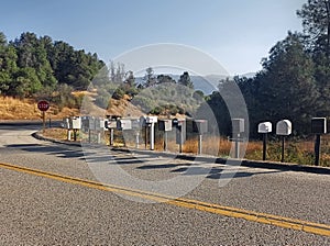 American street with numerous mailboxes