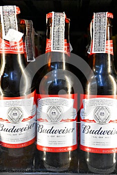 American-style Budweiser Beer Bottles