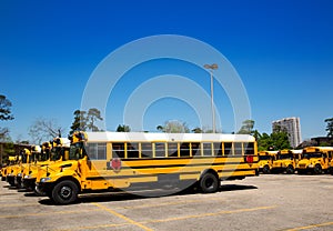 American typical school buses row in a parking lot