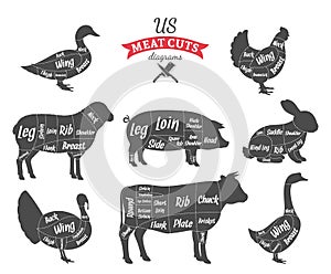 American (US) Meat Cuts Diagrams