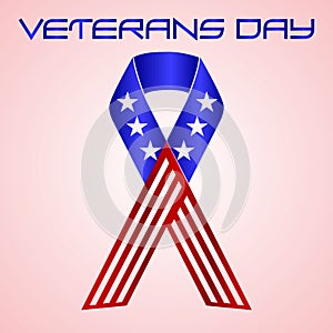American veterans day celebration in americal colors eps10 photo
