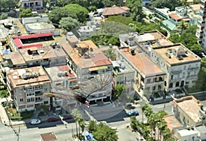 The American vultures (Cathartidae Lafresnaye) soars over Havana Cuba.