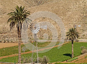 An American wind mill in the Buen Paso valley photo