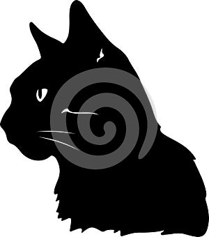 American Wirehair Cat Black Silhouette Generative Ai