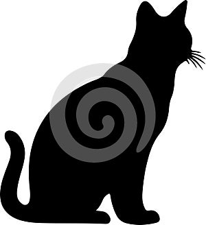 American Wirehair Cat Black Silhouette Generative Ai photo