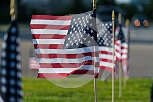 Americann Flags all in a row photo