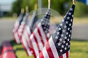 Americann Flags all in a row photo