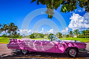 Amerikanischer pink Cabriolet Oldtimer in Varadero Cuba